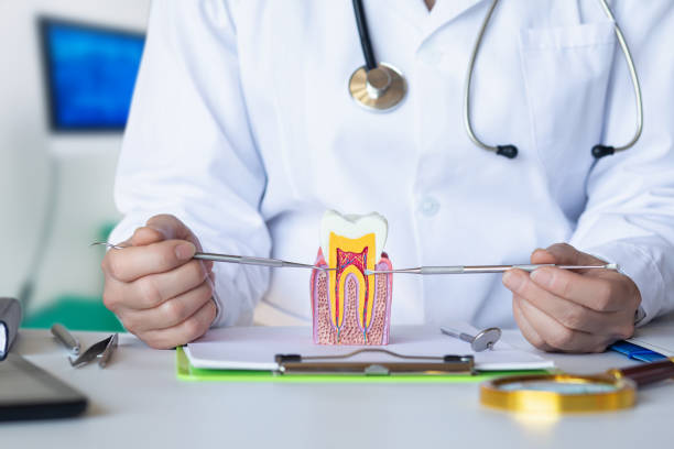 Best Emergency Cosmetic Dentistry in Danbury, TX